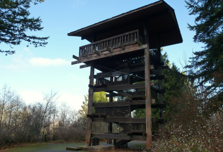 Sehome Hill Arboretum, United States